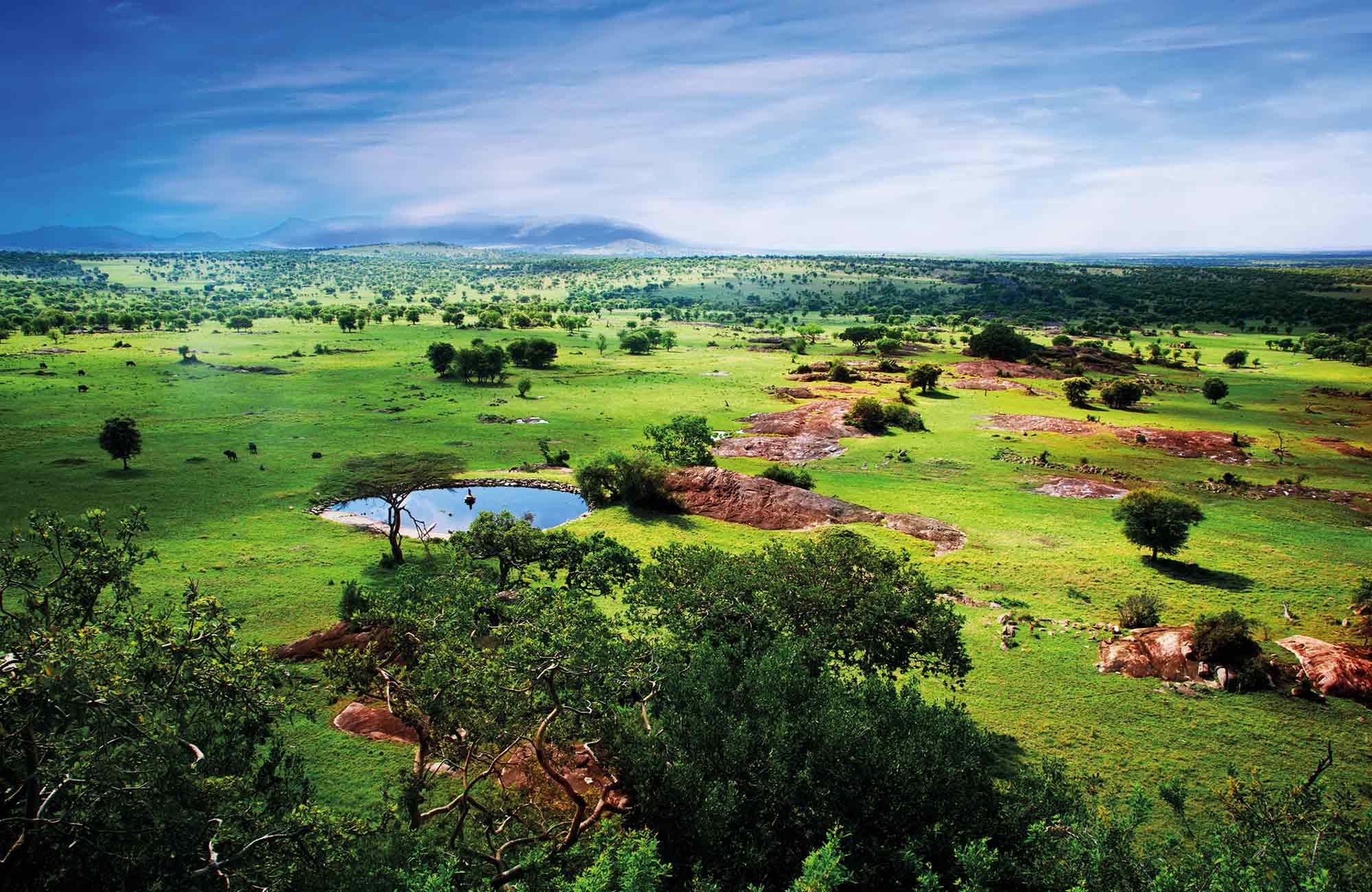 eSIM Tanzanie